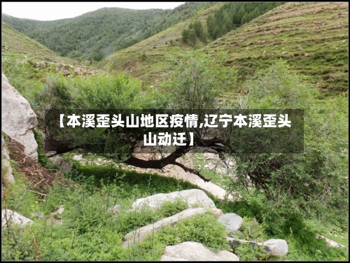 【本溪歪头山地区疫情,辽宁本溪歪头山动迁】