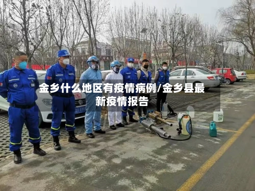 金乡什么地区有疫情病例/金乡县最新疫情报告