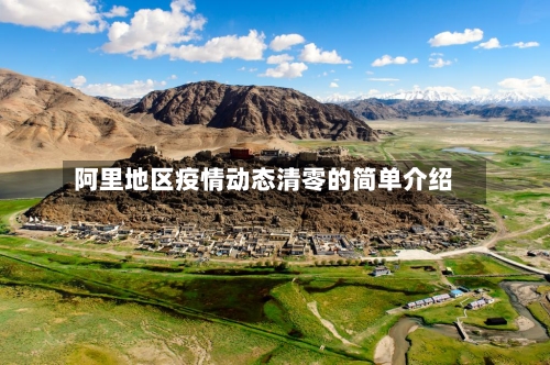 阿里地区疫情动态清零的简单介绍