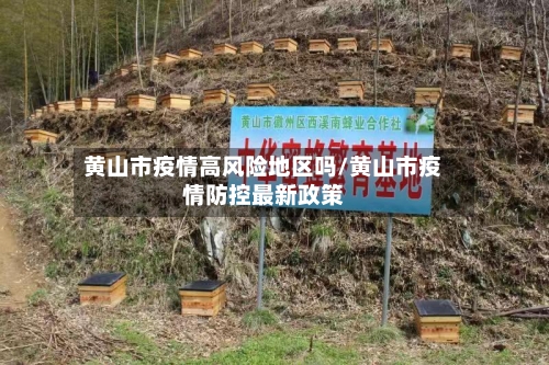 黄山市疫情高风险地区吗/黄山市疫情防控最新政策-第2张图片