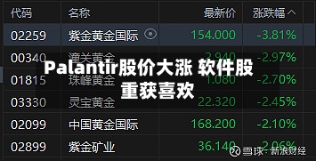 Palantir股价大涨 软件股重获喜欢
-第2张图片