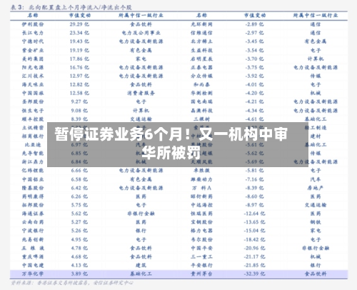 暂停证券业务6个月！又一机构中审华所被罚-第2张图片