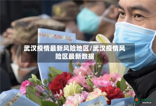 武汉疫情最新风险地区/武汉疫情风险区最新数据-第2张图片