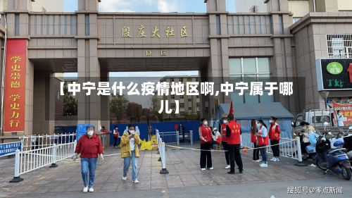 【中宁是什么疫情地区啊,中宁属于哪儿】-第3张图片