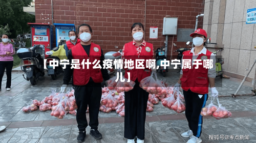 【中宁是什么疫情地区啊,中宁属于哪儿】-第2张图片
