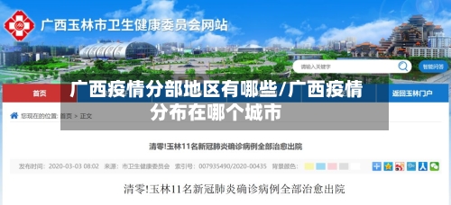 广西疫情分部地区有哪些/广西疫情分布在哪个城市-第2张图片