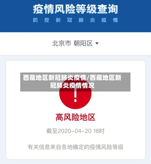 西藏地区新冠肺炎疫情/西藏地区新冠肺炎疫情情况