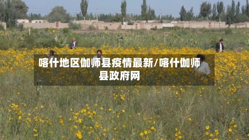 喀什地区伽师县疫情最新/喀什伽师县政府网-第3张图片