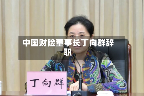 中国财险董事长丁向群辞职