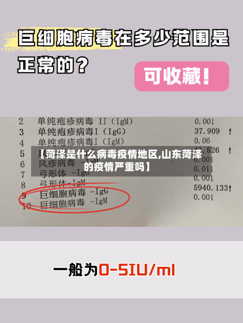 【菏泽是什么病毒疫情地区,山东菏泽的疫情严重吗】-第3张图片