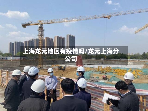 上海龙元地区有疫情吗/龙元上海分公司-第3张图片