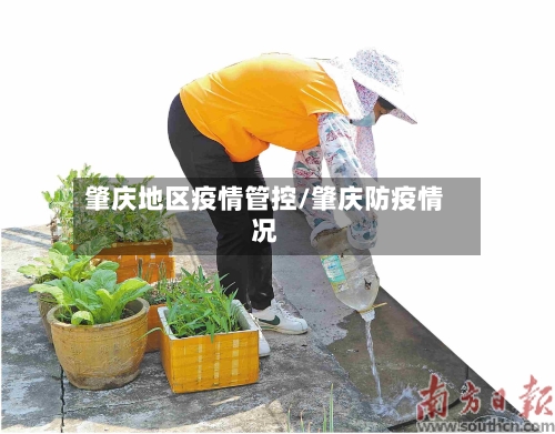 肇庆地区疫情管控/肇庆防疫情况-第2张图片