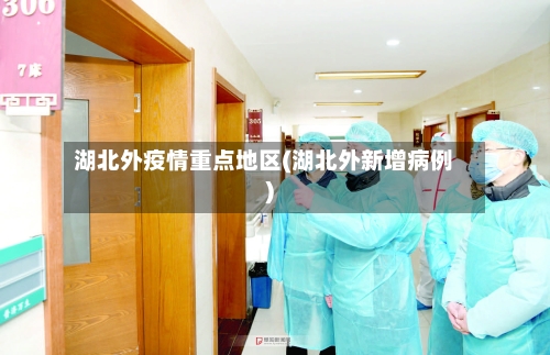 湖北外疫情重点地区(湖北外新增病例)