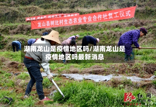 湖南龙山是疫情地区吗/湖南龙山是疫情地区吗最新消息-第2张图片