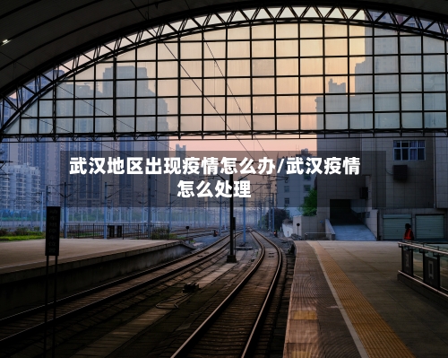 武汉地区出现疫情怎么办/武汉疫情怎么处理