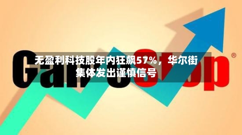 无盈利科技股年内狂飙57%，华尔街集体发出谨慎信号-第2张图片