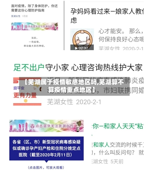【芜湖属于疫情敏感地区吗,芜湖算不算疫情重点地区】-第2张图片