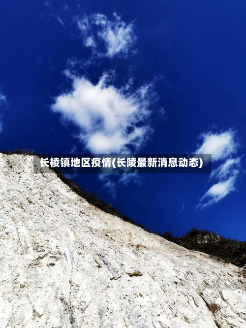 长棱镇地区疫情(长陵最新消息动态)